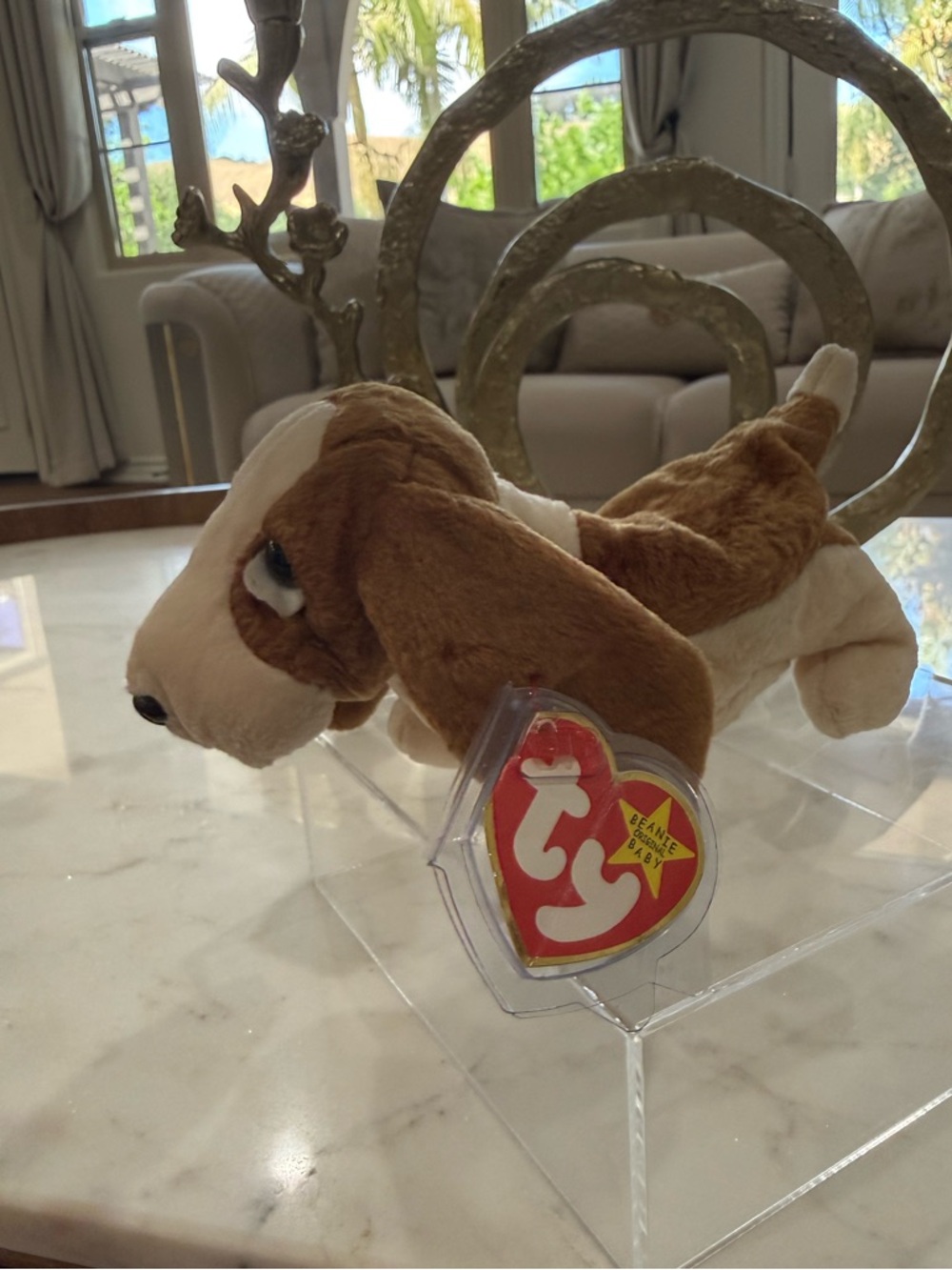 Ty Brown and White Dog Beanie Boo Plush - Picture 6 of 8